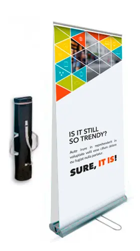 Roll-up Bifacciale argento 85x200 cm